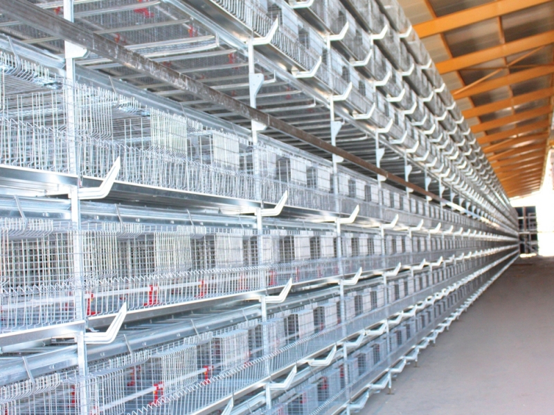 Kanatlı Hayvan Kafesleri